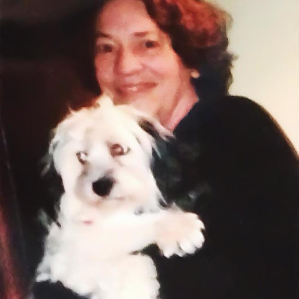 Meet your Posher, Judith